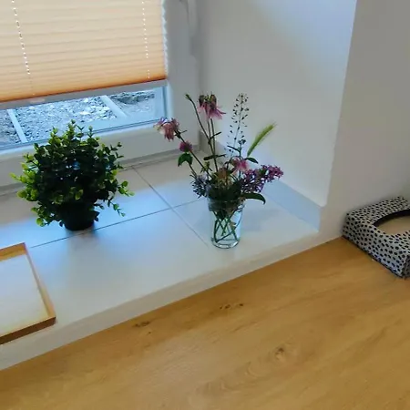 Doma Na Hrazi Apartment Podebrady
